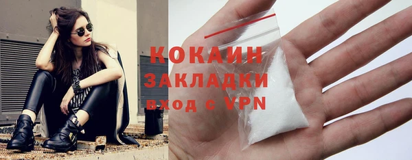 сатива Иннополис