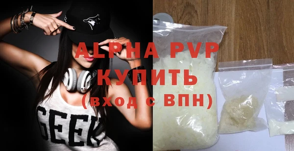 шишки Мегион