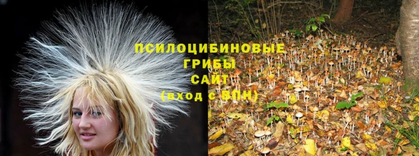 стаф Протвино