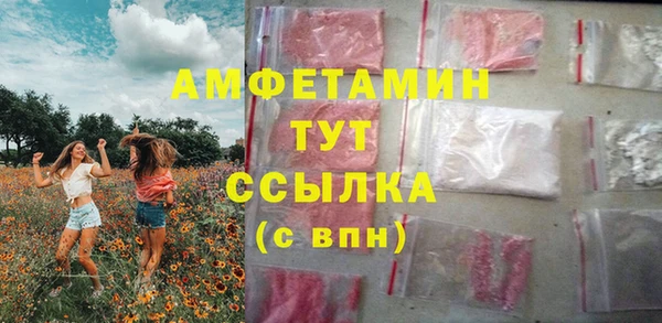 шишки Мегион