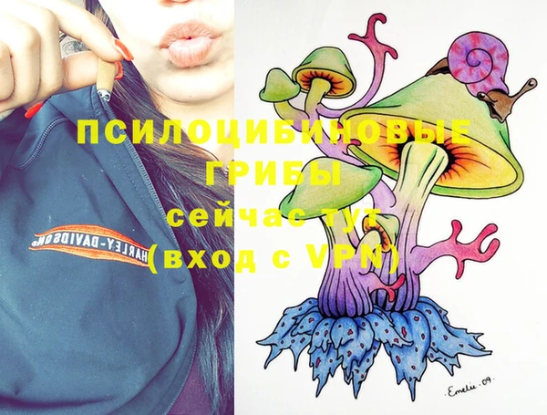 mdma Медвежьегорск