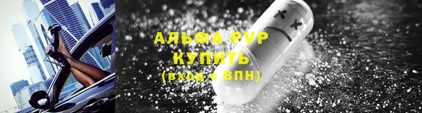 шишки Мегион